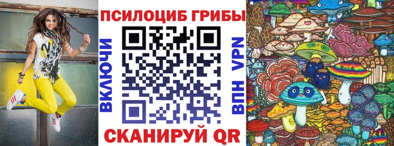Галлюциногенные грибы прущие грибы  Купить  Белая Калитва 